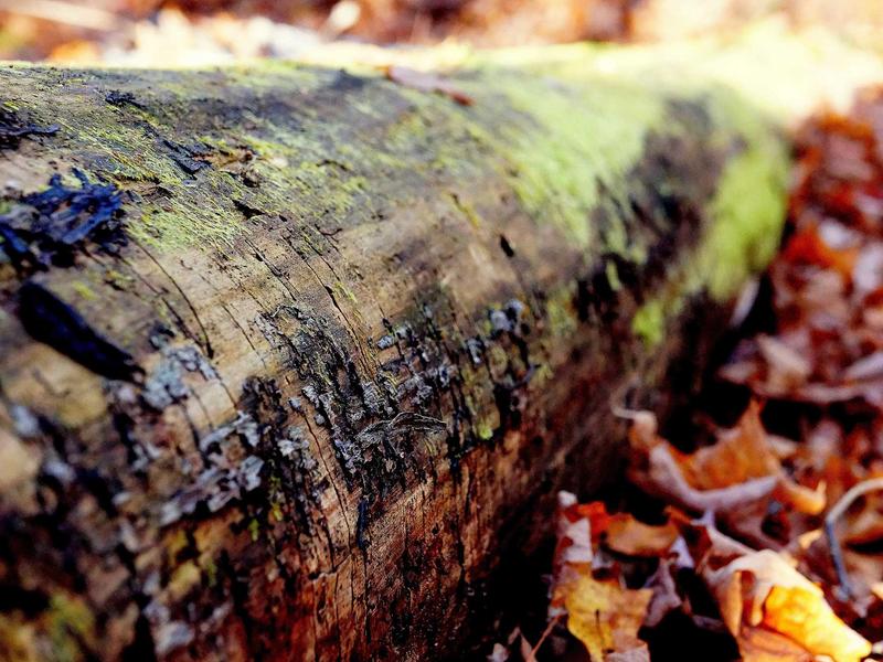 android screenshot 6